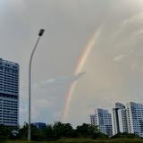 (Category: ) located in . Submitted by beebotea (Listing ID 1371256643, Image 1). Description: .