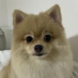 (Category: ) located in . Submitted by c8declutters (Listing ID 1384671274, Image 1). Description: .