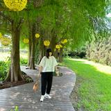 由 deartingting_0503 (刊登 ID 1382999531，圖片 1) 提交，位於 的 (類別：)，說明：。