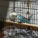(Category: ) located in . Submitted by mylo123 (Listing ID 1321902941, Image 1). Description: .