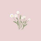 (Category: ) located in . Submitted by sweet_preloves (Listing ID 1328497758, Image 1). Description: .