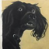 (Category: ) located in . Submitted by yellowsash65820 (Listing ID 1440112920, Image 1). Description: .