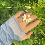 (分類:)位於 。 由 aleng__ 提交(商品編號 1454560856,圖片 1)。簡介: 。