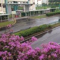 (Category: ) located in . Submitted by guoming06161408 (Listing ID 1454495067, Image 1). Description: .