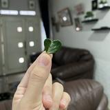 (Kategori: ) berada di . Dikirim oleh chacha_putrii (ID iklan 1385557713, Gambar 1). Deskripsi: .