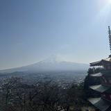 由 ulmpg (刊登 ID 1381712292，圖片 1) 提交，位於 的 (類別：)，說明：。