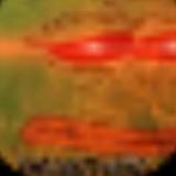 (Category: ) located in . Submitted by dankth0c (Listing ID 1376271159, Image 1). Description: .