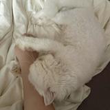 (Category: ) located in . Submitted by kathryn_yc (Listing ID 1379224073, Image 1). Description: .