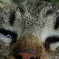 (分類:)位於 。 由 katiechenk40938 提交(商品編號 1456921623,圖片 1)。簡介: 。