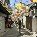 （分類：）位於 。 由 peachy_202 提交（商品編號 1336231783，圖片 1）。簡介： 。