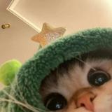 由 w1111ouo (刊登 ID 1385559401，圖片 1) 提交，位於 的 (類別：)，說明：。