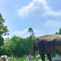 (Kategori: ) berada di . Dikirim oleh abifisah (ID iklan 1385153319, Gambar 1). Deskripsi: .