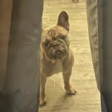 (Category: ) located in . Submitted by iamemmc (Listing ID 1448342659, Image 1). Description: .