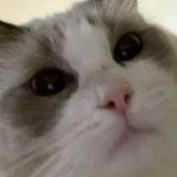 （分類：）位於 。 由 jksellgdshit 提交（商品編號 1354632983，圖片 1）。簡介： 。