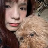 由 xie02120502345 (刊登 ID 1383948639，圖片 1) 提交，位於 的 (類別：)，說明：。