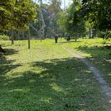 (Category: ) located in . Submitted by nissabry (Listing ID 1451908898, Image 1). Description: .