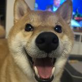（分類：）位於 。 由 thisiskkkkk 提交（商品編號 1285724558，圖片 1）。簡介： 。