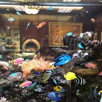 (分類:)位於 。 由 noblegem.7fa0e9 提交(商品編號 1467845726,圖片 1)。簡介: 。
