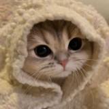 (Category: ) located in . Submitted by blingsand (Listing ID 1301615868, Image 1). Description: .