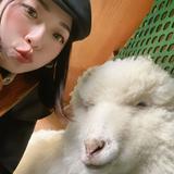 由 cindyquin113641 (刊登 ID 1371145136，圖片 1) 提交，位於 的 (類別：)，說明：。