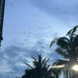 (分類:)位於 。 由 wawa1026 提交(商品編號 1445827901,圖片 1)。簡介: 。