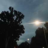 (Category: ) located in . Submitted by abundles (Listing ID 1353663201, Image 1). Description: .