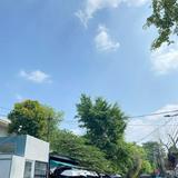 (Kategori: ) berada di . Dikirim oleh kuybelanjaaaaa (ID iklan 1296168478, Gambar 1). Deskripsi: .