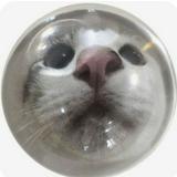 (Category: ) located in . Submitted by cofiizz (Listing ID 1385657693, Image 1). Description: .