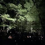 （分類：）位於 。 由 dtzea 提交（商品編號 1333496511，圖片 1）。簡介： 。