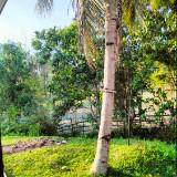 (Category: ) located in . Submitted by hajar92 (Listing ID 1326209162, Image 1). Description: .