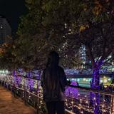 由 s12301943588 (刊登 ID 1337920930，圖片 1) 提交，位於 的 (類別：)，說明：。