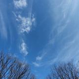 (Category: ) located in . Submitted by win-wee (Listing ID 1355993963, Image 1). Description: .