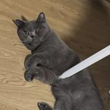 (分類:)位於 。 由 chill_ing01 提交(商品編號 1463282086,圖片 1)。簡介: 。