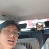 由 abc0983042001 (刊登 ID 1338445758，圖片 1) 提交，位於 的 (類別：)，說明：。