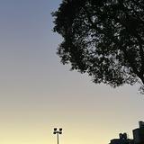 由 chennn224 (刊登 ID 1362275977，圖片 1) 提交，位於 的 (類別：)，說明：。