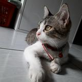 (Kategori: ) berada di . Dikirim oleh prelovedbykim98 (ID iklan 1344292376, Gambar 1). Deskripsi: .