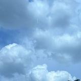 (Category: ) located in . Submitted by kenny851234 (Listing ID 1390203764, Image 1). Description: .