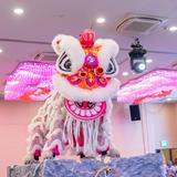 (Category: ) located in . Submitted by liondancesg (Listing ID 1324398073, Image 1). Description: .