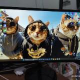 (Kategori: ) berada di . Dikirim oleh sansaga (ID iklan 1383702965, Gambar 1). Deskripsi: .