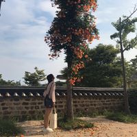 (分類:)位於 。 由 yamamotoyama 提交(商品編號 1456220371,圖片 1)。簡介: 。