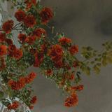 由 roseislove. (刊登 ID 1324004353，圖片 1) 提交，位於 的 (類別：)，說明：。