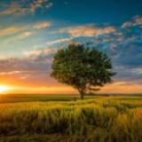 (Category: ) located in . Submitted by itsmeuru (Listing ID 1379739124, Image 1). Description: .