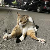 由 loveyou_0708 (刊登 ID 1381454600，圖片 1) 提交，位於 的 (類別：)，說明：。
