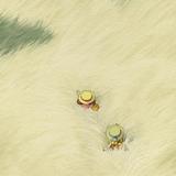 (Category: ) located in . Submitted by lumikim (Listing ID 1467652371, Image 1). Description: .