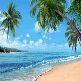 (Category: ) located in . Submitted by nidhi_c (Listing ID 1445826667, Image 1). Description: .