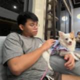 (Category: ) located in . Submitted by reubencabrera (Listing ID 1328887674, Image 1). Description: .