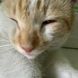 (Kategori: ) berada di . Dikirim oleh putri.sulis (ID iklan 1360211967, Gambar 1). Deskripsi: .