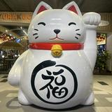 (分類:)位於 。 由 superrichstore 提交(商品編號 1253333338,圖片 1)。簡介: 。
