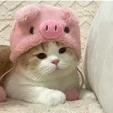 （分類：）位於 。 由 26783862 提交（商品編號 1367561199，圖片 1）。簡介： 。