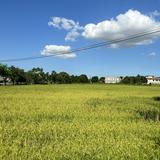 由 fangyi (刊登 ID 1384534959，圖片 1) 提交，位於 的 (類別：)，說明：。